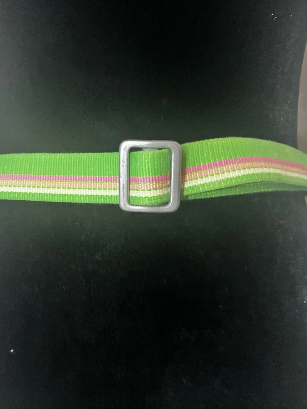 J Crew green and pink striped fabric belt metallic D-ring closure - Picture 2 of 9